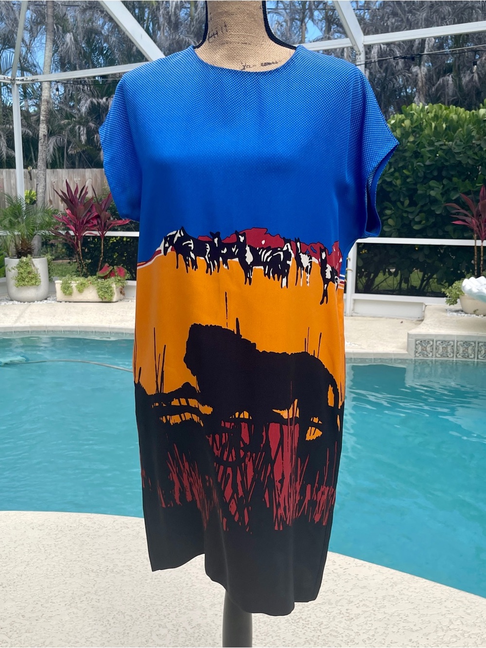 Diane Von Furstenberg Blue, Red & Black Printed Dress